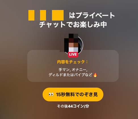 のぞき見の案内画面。「〇〇はプライベートチャットでお楽しみ中」、内容をチェック、「15秒無料でのぞき見」ボタン、「その後44コイン/分」